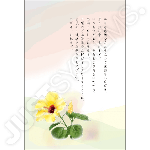 見舞い・贈答_02